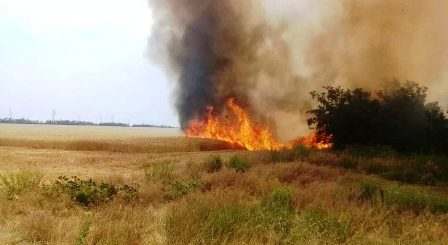 В Харцызске горело поле с пшеницей