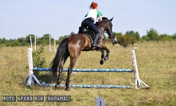 КСК «Нальмес» организовал соревнования по конному туризму