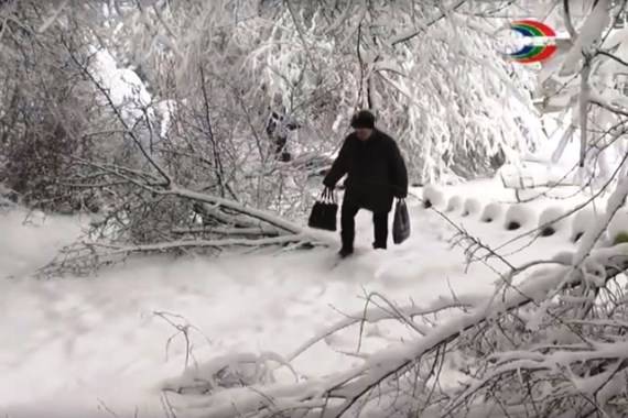 Снегопад в Харцызске натворил немало бед