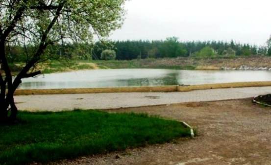 Харцызск, сосновый бор за парком Чехова