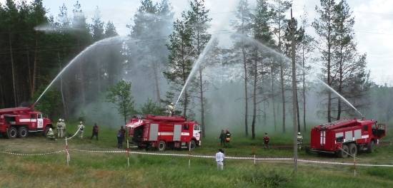 В ДНР горят леса