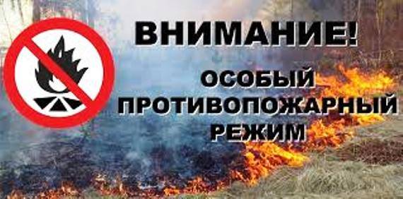 В Харцызске объявлен особый противопожарный режим