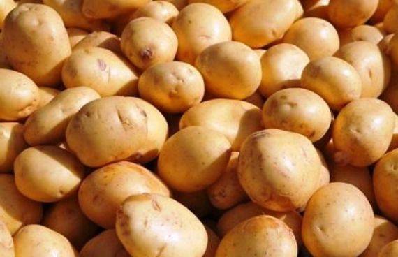 В ДНР подорожала картошка