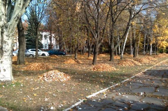 Уборка листьев в Харцызске