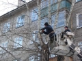 Обрезка проблемных деревьев в Харцызске